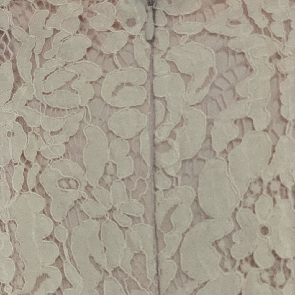 Maniju Blush Lace Midi Dress Size S Sheer Net Panel Formal Gown Back Zipper - Picture 5 of 14